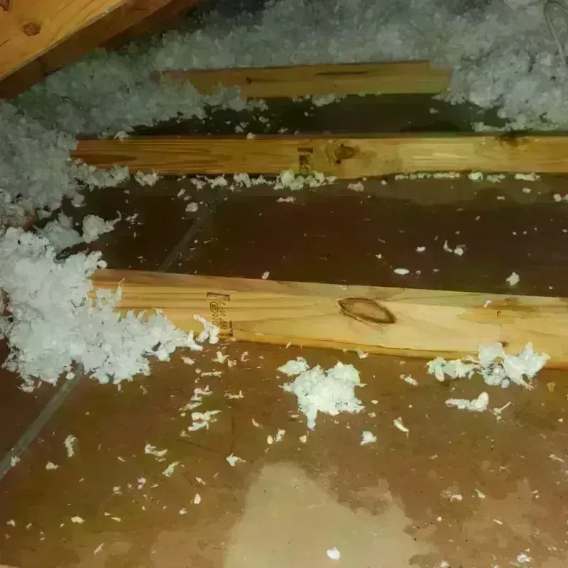 Attic Water Damage in Trousdale County, TN